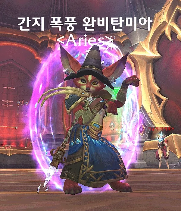 파일포켓 이미지