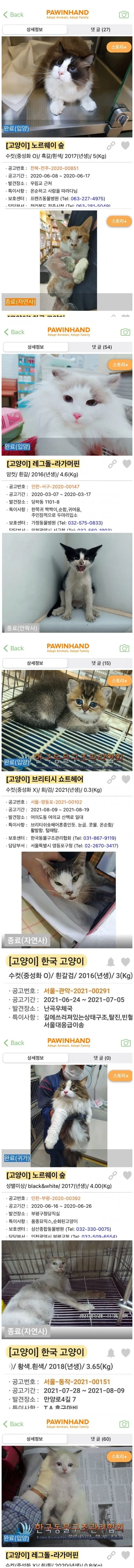 파일포켓 이미지