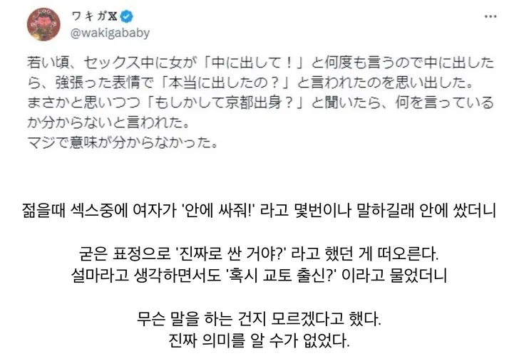 파일포켓 이미지