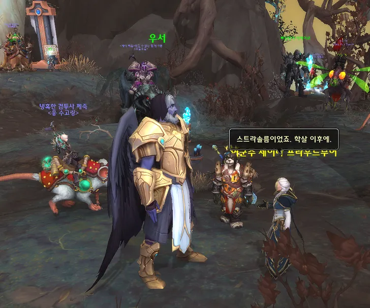 파일포켓 이미지