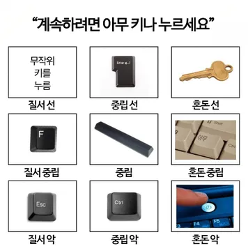 파일포켓 이미지