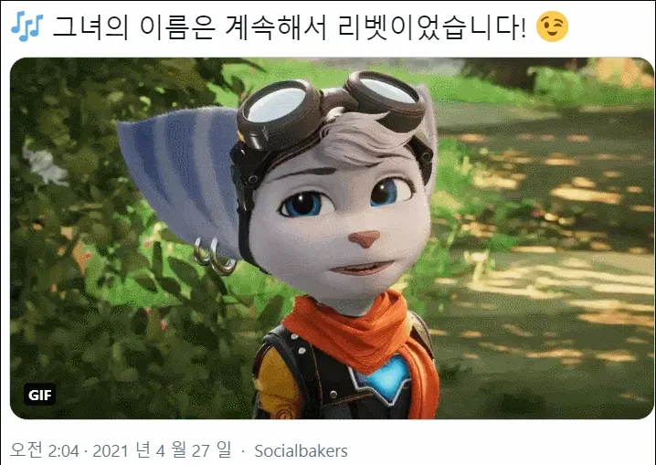 파일포켓 이미지