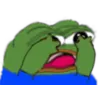 파일포켓 이미지