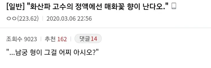 파일포켓 이미지