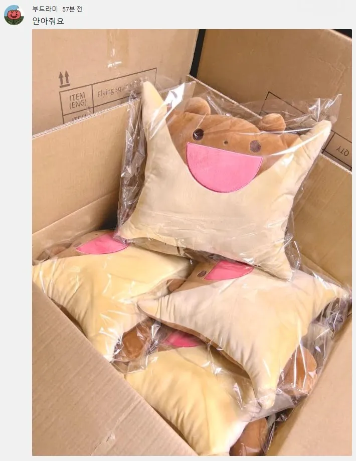 파일포켓 이미지
