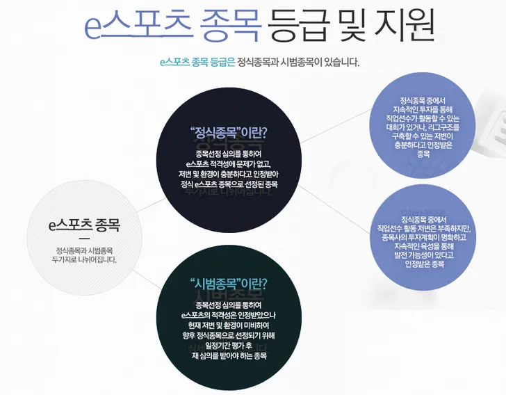 파일포켓 이미지