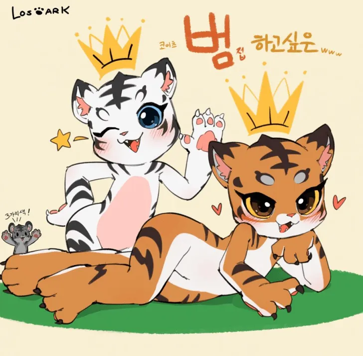 파일포켓 이미지