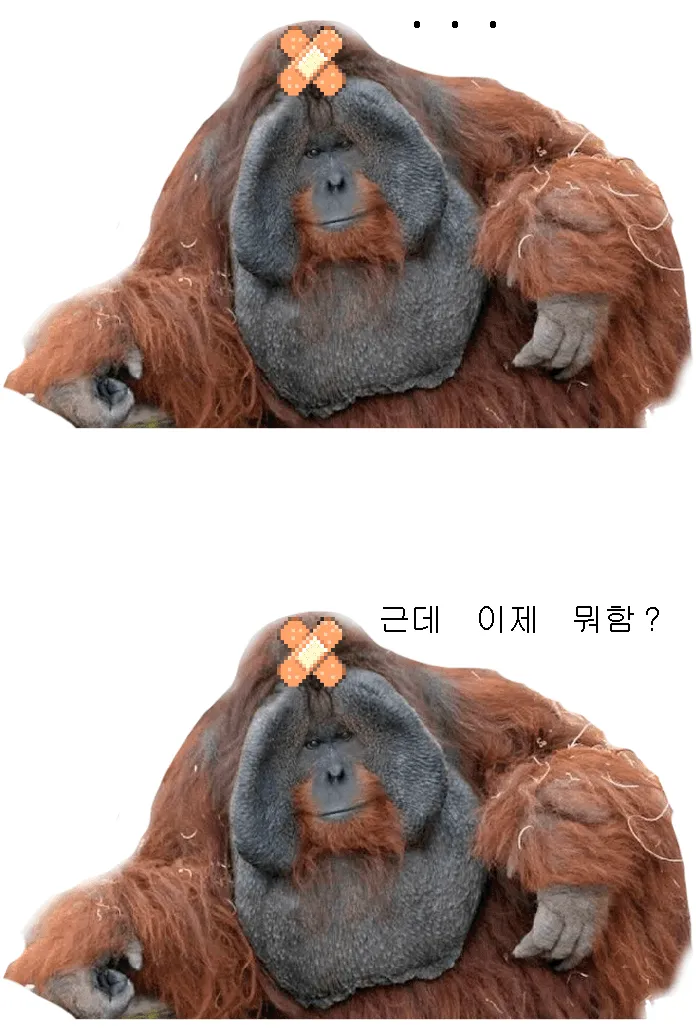 파일포켓 이미지