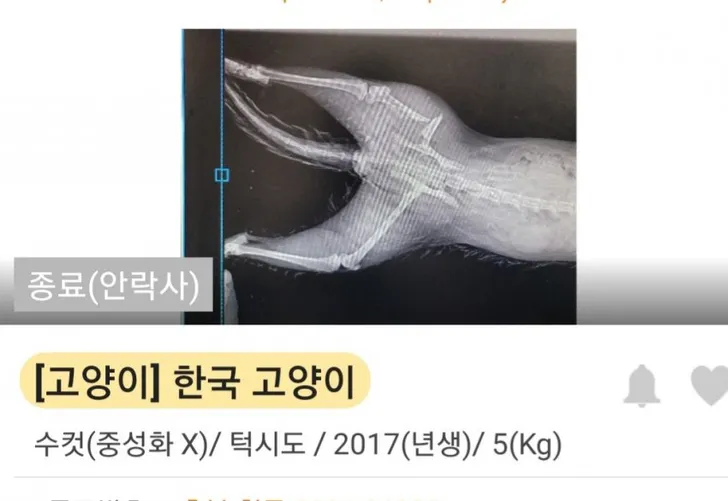 파일포켓 이미지