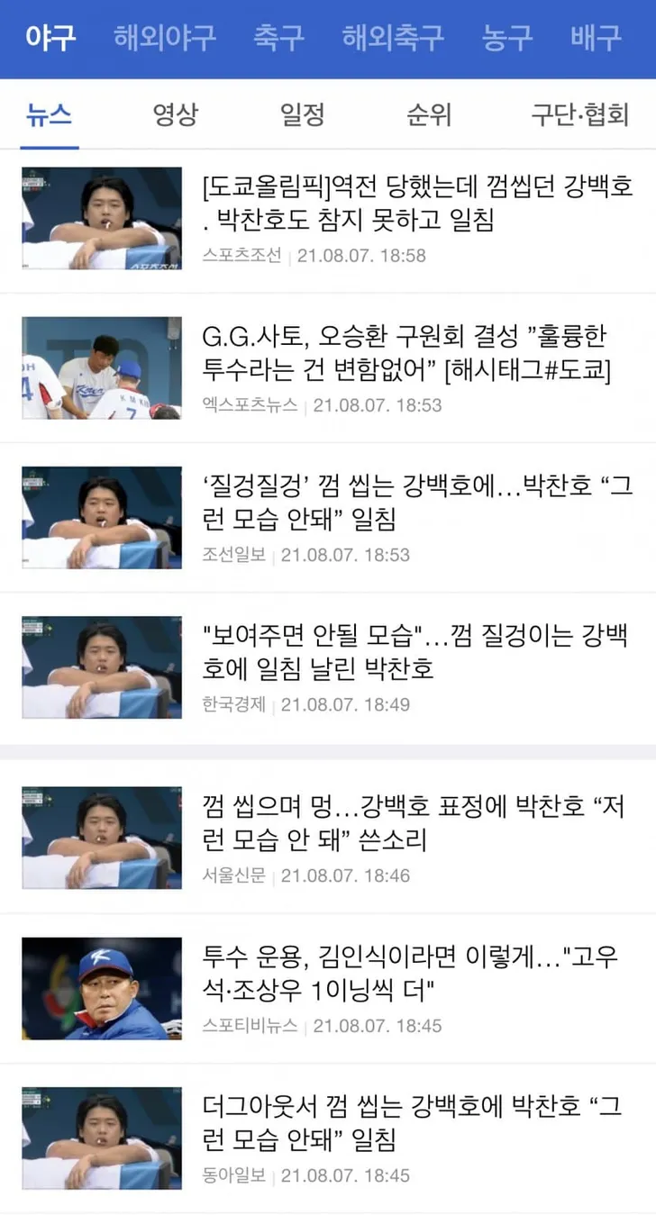 파일포켓 이미지