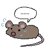 파일포켓 이미지