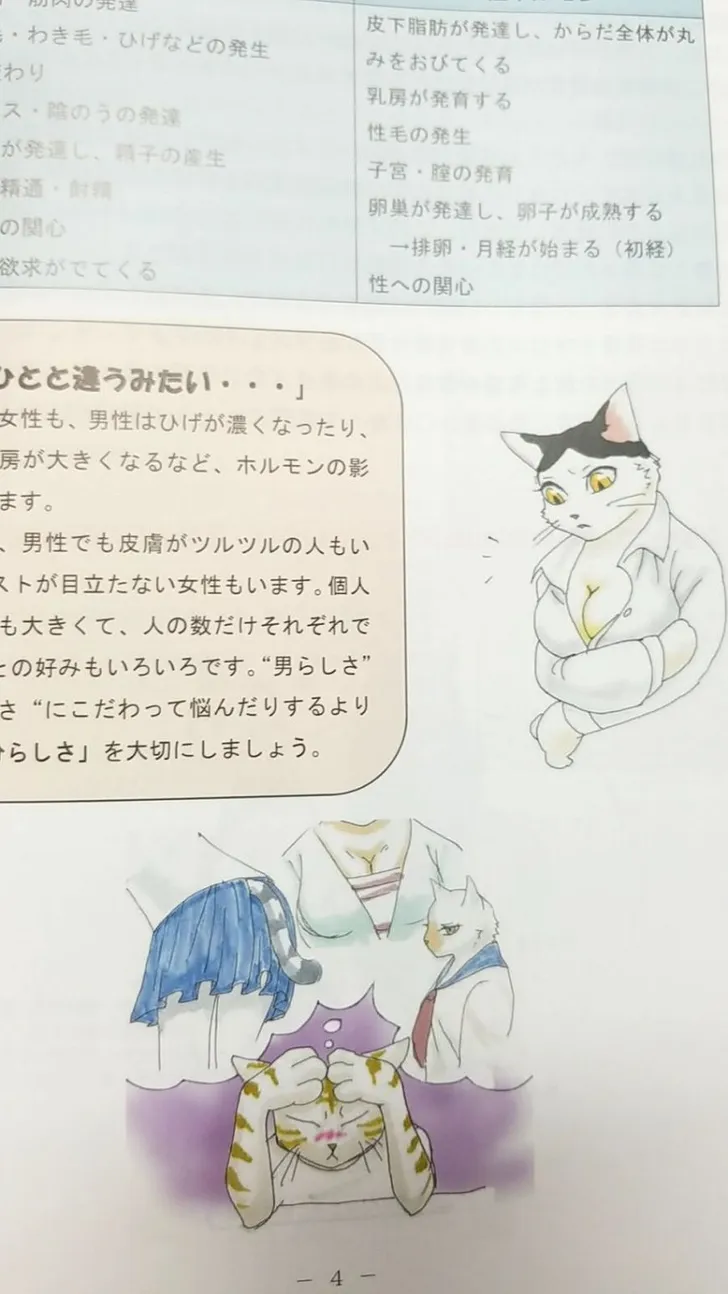 파일포켓 이미지