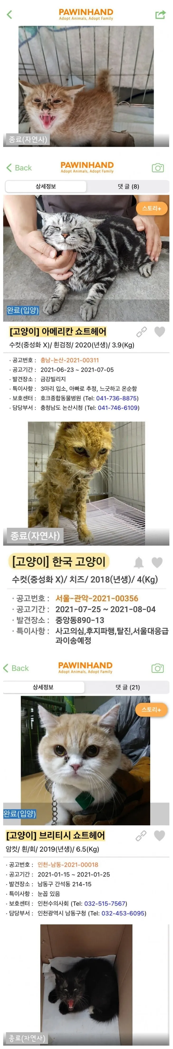 파일포켓 이미지