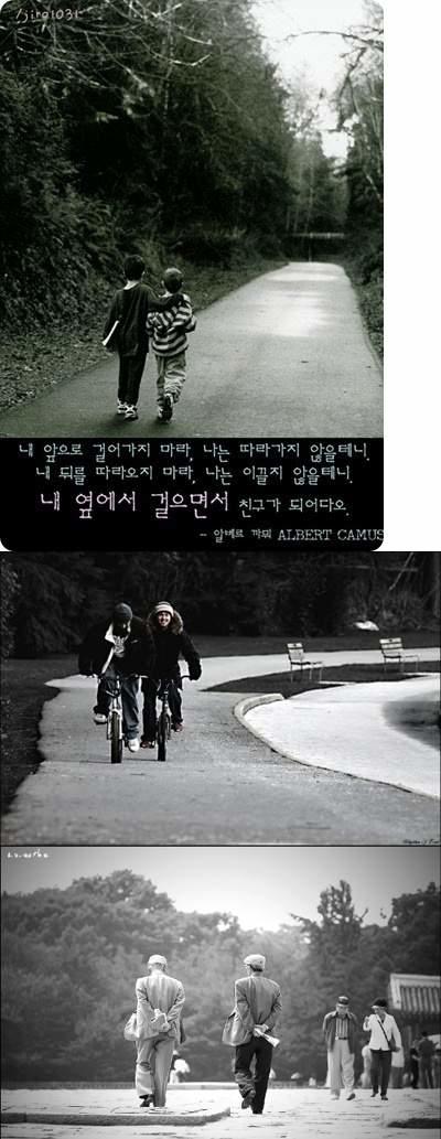 파일포켓 이미지