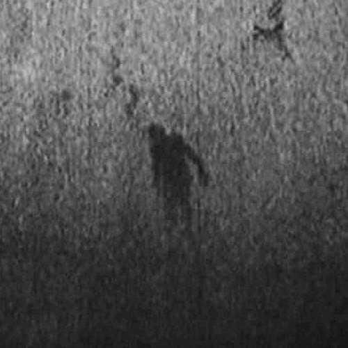 40f43594c57bd7d2088eec088836a698.gif