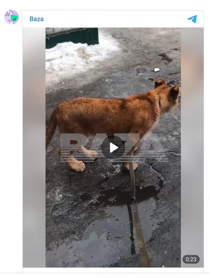 파일포켓 이미지